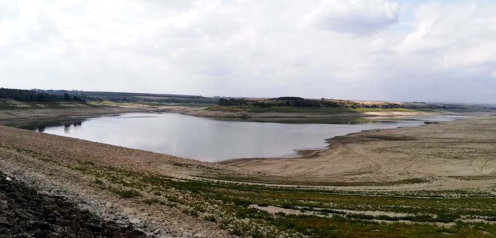 La siccità che sta interessando l'Italia sta colpendo duramente anche la Puglia. I fiumi e i laghi sono in secca, le coltivazioni sono a rischio e la popolazione è preoccupata.