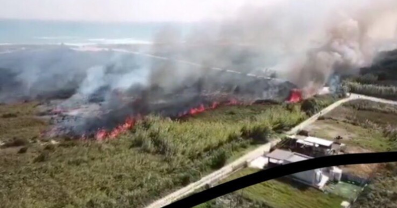 Domato l'incendio in Salento ma la macchia mediterranea, ormai distrutta, resta avvolta nel fumo.